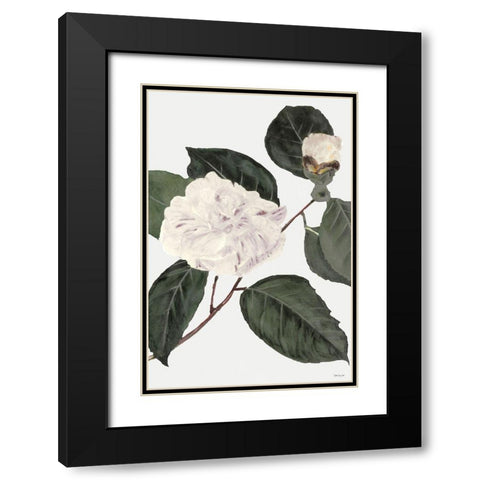 White Botanical I Black Modern Wood Framed Art Print with Double Matting by Stellar Design Studio