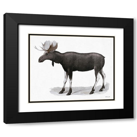 Grand Moose   Black Modern Wood Framed Art Print with Double Matting by Stellar Design Studio