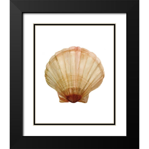 Neutral Shell Collection 2   Black Modern Wood Framed Art Print with Double Matting by Stellar Design Studio