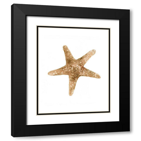 Neutral Shell Collection 3   Black Modern Wood Framed Art Print with Double Matting by Stellar Design Studio