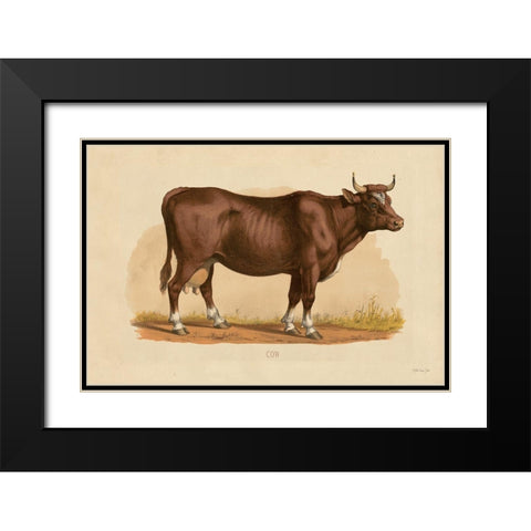 Cow Black Modern Wood Framed Art Print with Double Matting by Stellar Designs Studio