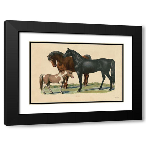 Horses Black Modern Wood Framed Art Print with Double Matting by Stellar Designs Studio