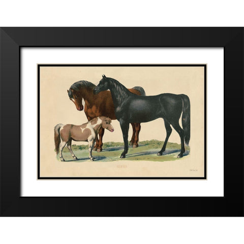 Horses Black Modern Wood Framed Art Print with Double Matting by Stellar Designs Studio