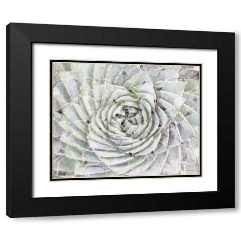 Succulent Macro  Black Modern Wood Framed Art Print with Double Matting by Stellar Designs Studio
