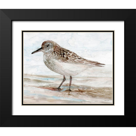 Sanibel Piper 1   Black Modern Wood Framed Art Print with Double Matting by Stellar Design Studio