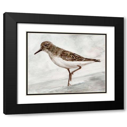 Sanibel Piper 3   Black Modern Wood Framed Art Print with Double Matting by Stellar Design Studio