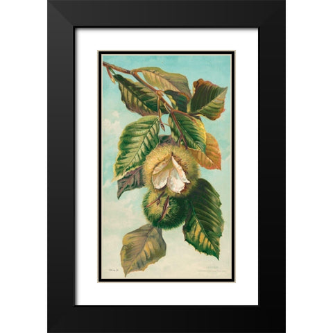 Tree Branch with Fruit II Black Modern Wood Framed Art Print with Double Matting by Stellar Design Studio