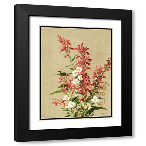 Meadow Flowers 2 Black Modern Wood Framed Art Print with Double Matting by Stellar Design Studio