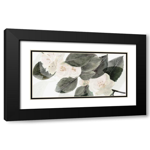 White Beauty Black Modern Wood Framed Art Print with Double Matting by Stellar Design Studio