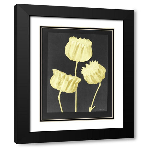 Forms in Nature 1 Black Modern Wood Framed Art Print with Double Matting by Stellar Design Studio