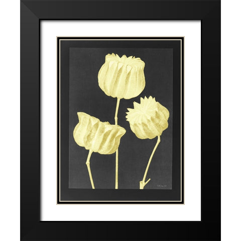 Forms in Nature 1 Black Modern Wood Framed Art Print with Double Matting by Stellar Design Studio