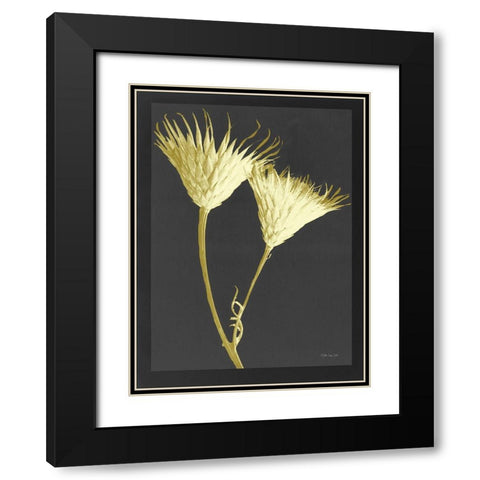 Forms in Nature 2 Black Modern Wood Framed Art Print with Double Matting by Stellar Design Studio