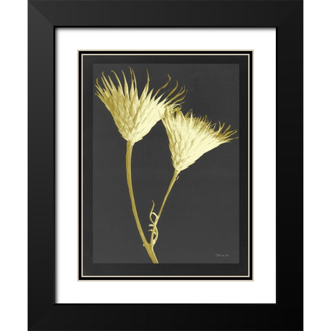 Forms in Nature 2 Black Modern Wood Framed Art Print with Double Matting by Stellar Design Studio