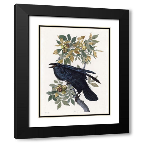 Vintage Crow 2 Black Modern Wood Framed Art Print with Double Matting by Stellar Design Studio