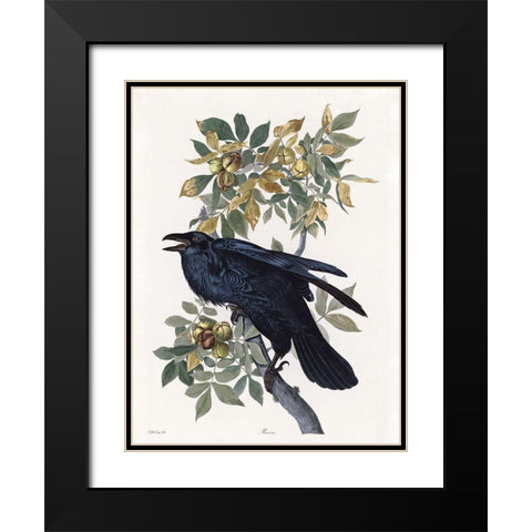 Vintage Crow 2 Black Modern Wood Framed Art Print with Double Matting by Stellar Design Studio