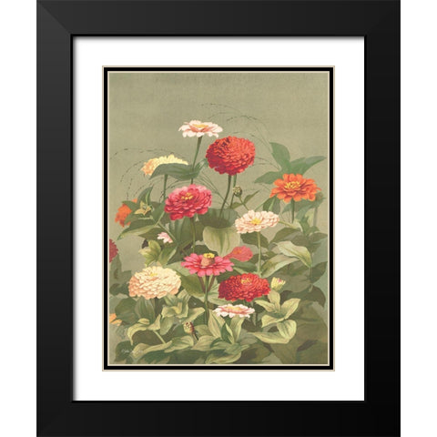 Antique Botanical Collection 1 Black Modern Wood Framed Art Print with Double Matting by Stellar Design Studio