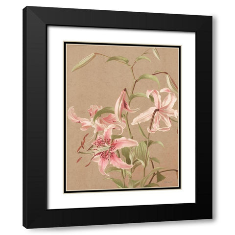 Antique Botanical Collection 3 Black Modern Wood Framed Art Print with Double Matting by Stellar Design Studio