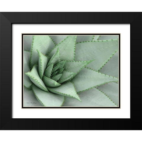 Pointy Tip Succulent Black Modern Wood Framed Art Print with Double Matting by Seven Trees Design