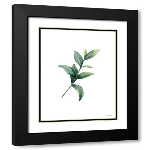 Eucalyptus III Black Modern Wood Framed Art Print with Double Matting by Seven Trees Design