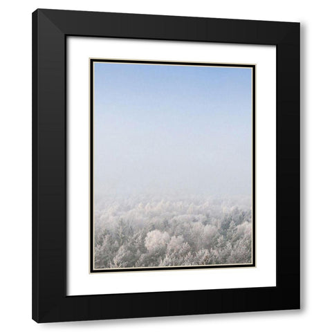 Snow Forest from the Sky   Black Modern Wood Framed Art Print with Double Matting by Seven Trees Design
