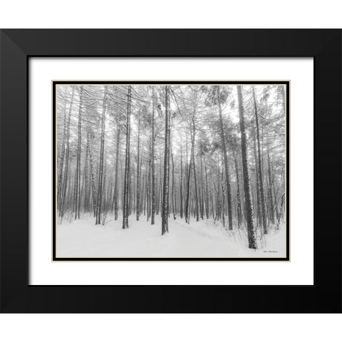 Let It Snow Forest   Black Modern Wood Framed Art Print with Double Matting by Seven Trees Design
