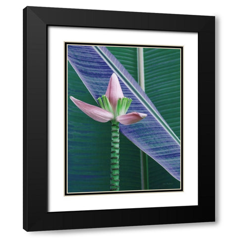 Banana Flower Black Modern Wood Framed Art Print with Double Matting by Seven Trees Design