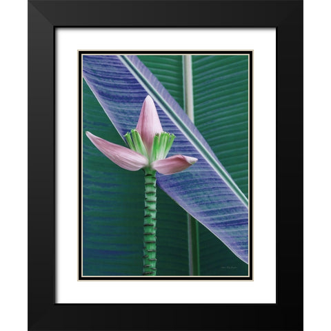Banana Flower Black Modern Wood Framed Art Print with Double Matting by Seven Trees Design