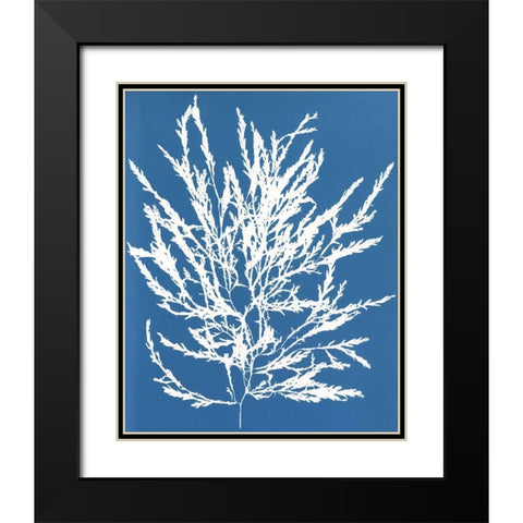 Blue Botanical I Black Modern Wood Framed Art Print with Double Matting by Seven Trees Design