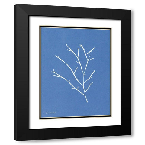 Blue Botanical III    Black Modern Wood Framed Art Print with Double Matting by Seven Trees Design