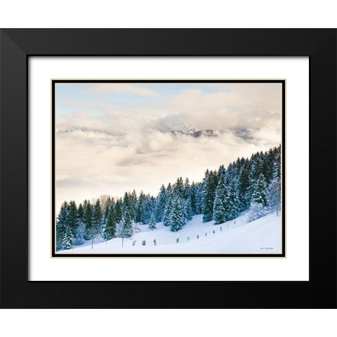 Pines in the Sky    Black Modern Wood Framed Art Print with Double Matting by Seven Trees Design