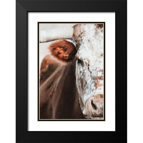 Red and White Bull Black Modern Wood Framed Art Print with Double Matting by White Ladder