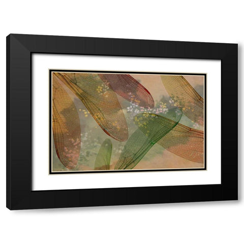 Montage abstract of dragonfly wings and flower Black Modern Wood Framed Art Print with Double Matting by Paulson, Don