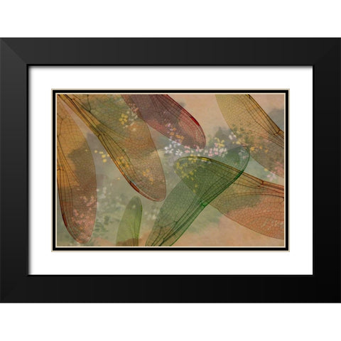 Montage abstract of dragonfly wings and flower Black Modern Wood Framed Art Print with Double Matting by Paulson, Don