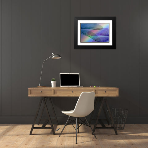 Abstract of dragonfly wings and rainbow Black Modern Wood Framed Art Print with Double Matting by Paulson, Don