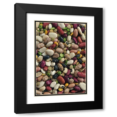 USA Colorful dried bean soup mixture Black Modern Wood Framed Art Print with Double Matting by Terrill, Steve