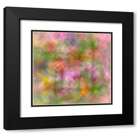 Colorful floral abstract Black Modern Wood Framed Art Print with Double Matting by Jaynes Gallery