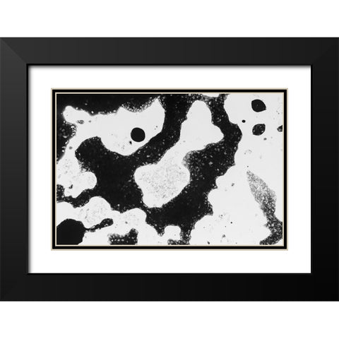 Color abstract Black Modern Wood Framed Art Print with Double Matting by Muench, Zandria
