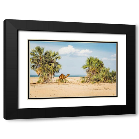 East Africa-Kenya Lake Turkana Basin-Lobolo Camp-beach scene with camels Black Modern Wood Framed Art Print with Double Matting by Jones, Alison
