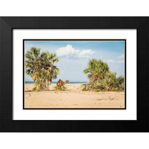East Africa-Kenya Lake Turkana Basin-Lobolo Camp-beach scene with camels Black Modern Wood Framed Art Print with Double Matting by Jones, Alison