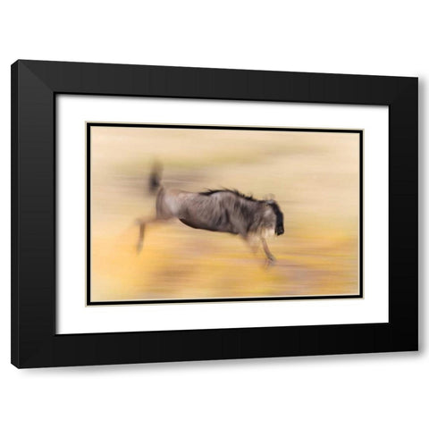 Kenya, Masai Mara Abstract blur of wildebeest Black Modern Wood Framed Art Print with Double Matting by Morris, Arthur