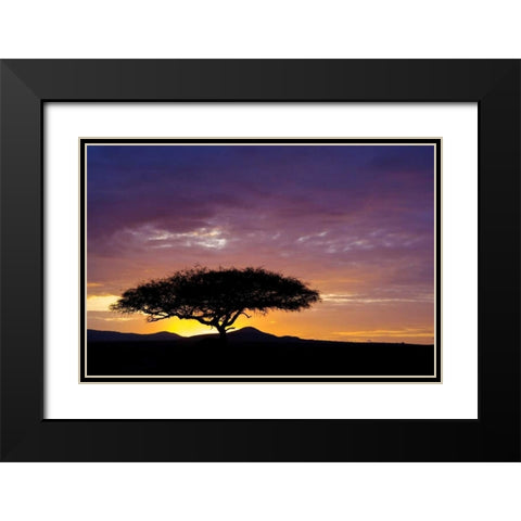 Kenya, Masai Mara Sunrise silhouettes acacias Black Modern Wood Framed Art Print with Double Matting by Kirkland, Dennis