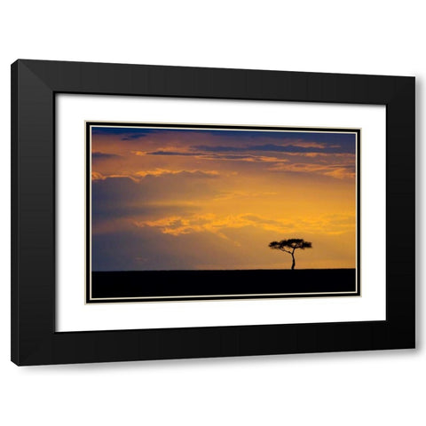 Kenya, Masai Mara Sunrise silhouettes an acacia Black Modern Wood Framed Art Print with Double Matting by Kirkland, Dennis