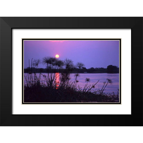 Kenya Sunset reflects on water through reeds Black Modern Wood Framed Art Print with Double Matting by Williams, Joanne