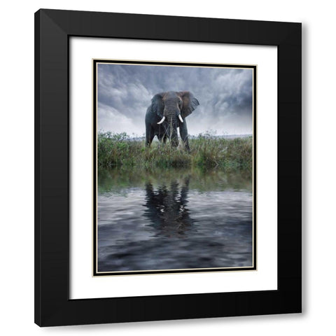 Kenya, Masai Mara Elephant reflecting in water Black Modern Wood Framed Art Print with Double Matting by Zuckerman, Jim