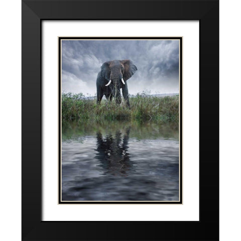 Kenya, Masai Mara Elephant reflecting in water Black Modern Wood Framed Art Print with Double Matting by Zuckerman, Jim