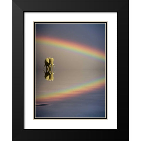 Kenya, Masai Mara Bull elephant and rainbow Black Modern Wood Framed Art Print with Double Matting by Zuckerman, Jim
