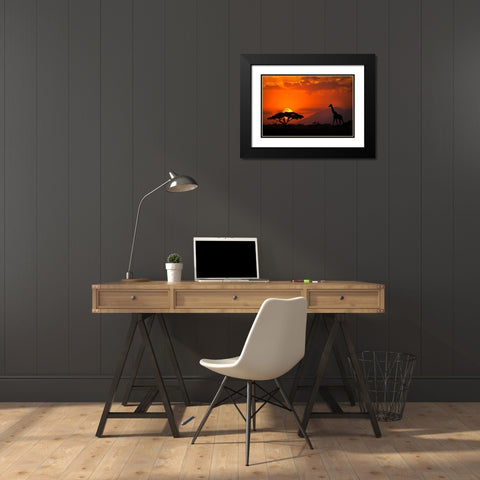 Kenya-Amboseli National Park Abstract sunset with giraffe and acacia tree silhouettes Black Modern Wood Framed Art Print with Double Matting by Jaynes Gallery