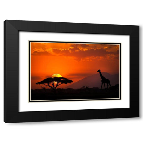 Kenya-Amboseli National Park Abstract sunset with giraffe and acacia tree silhouettes Black Modern Wood Framed Art Print with Double Matting by Jaynes Gallery