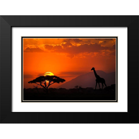 Kenya-Amboseli National Park Abstract sunset with giraffe and acacia tree silhouettes Black Modern Wood Framed Art Print with Double Matting by Jaynes Gallery