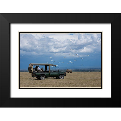 Africa-Kenya-Ol Pejeta Conservancy-Safari jeep with Southern white rhinoceros-Ceratotherium simum Black Modern Wood Framed Art Print with Double Matting by Hopkins, Cindy Miller